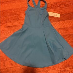 Blue Sleeveless Skater Dress